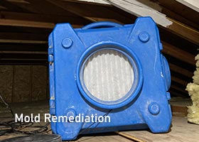 Mold removal and remediation treatment